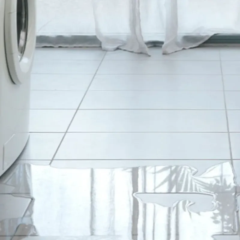 Appliance Leak Cleanup in Bridgeport, WA