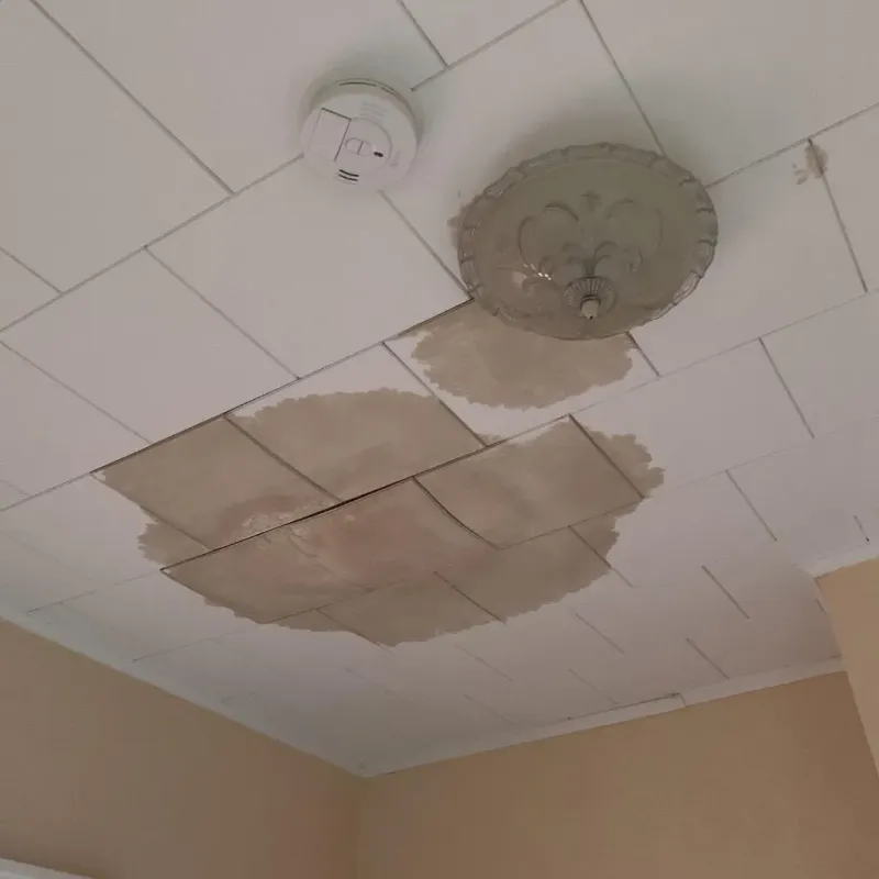 Ceiling Water Damage Repair in Bridgeport, WA