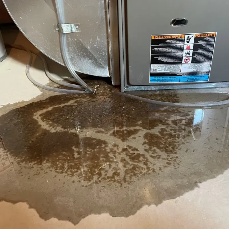 Pipe Burst and Leak Restoration in Bridgeport, WA