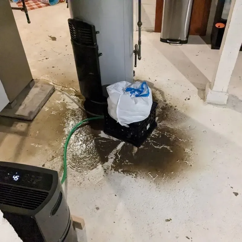 Sewage Backup Cleanup Service in Bridgeport, WA